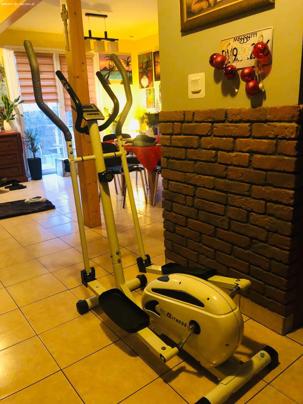 Oddam orbitrek, stepper