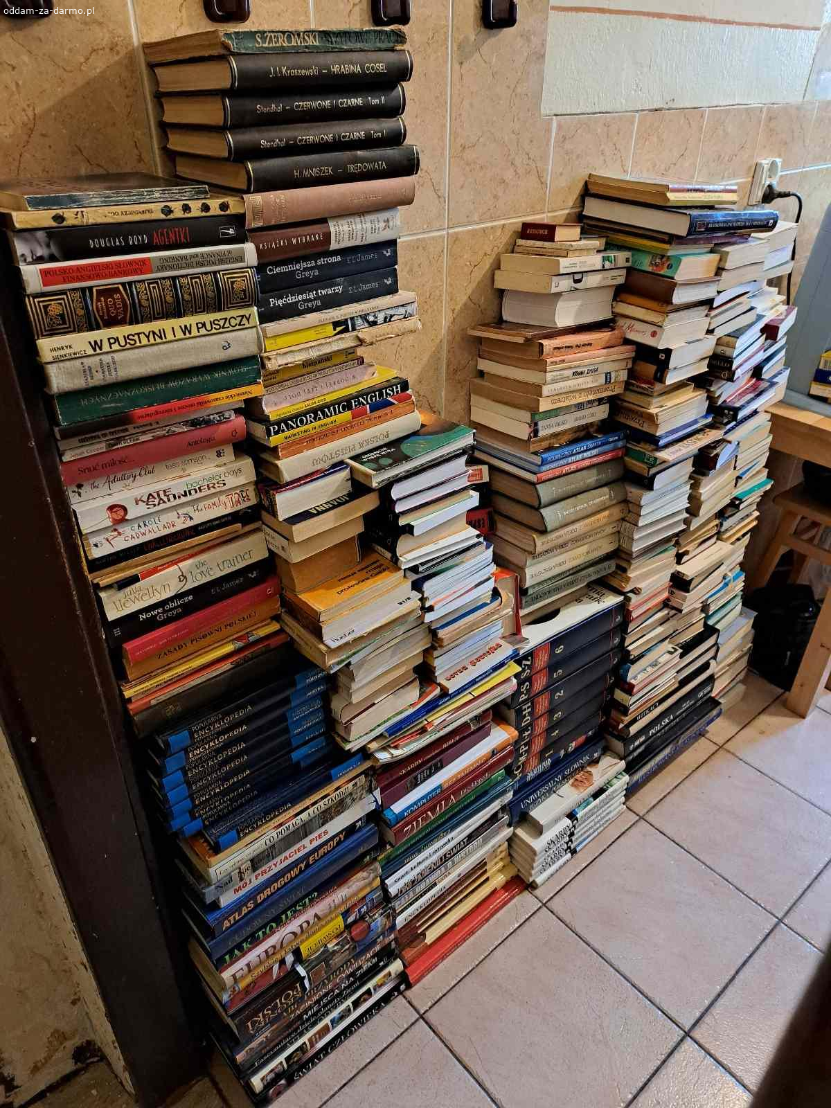 Różne książki ok. 300 szt.